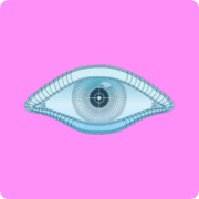 Nmap icon